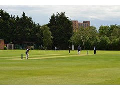 Harrow Cricket Club, Main Ground